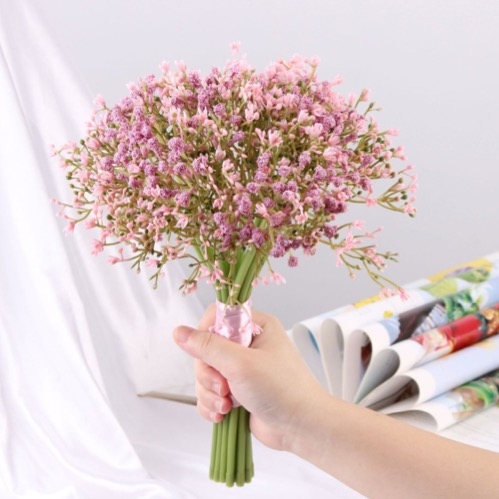 Planta Gypsophila Rosada