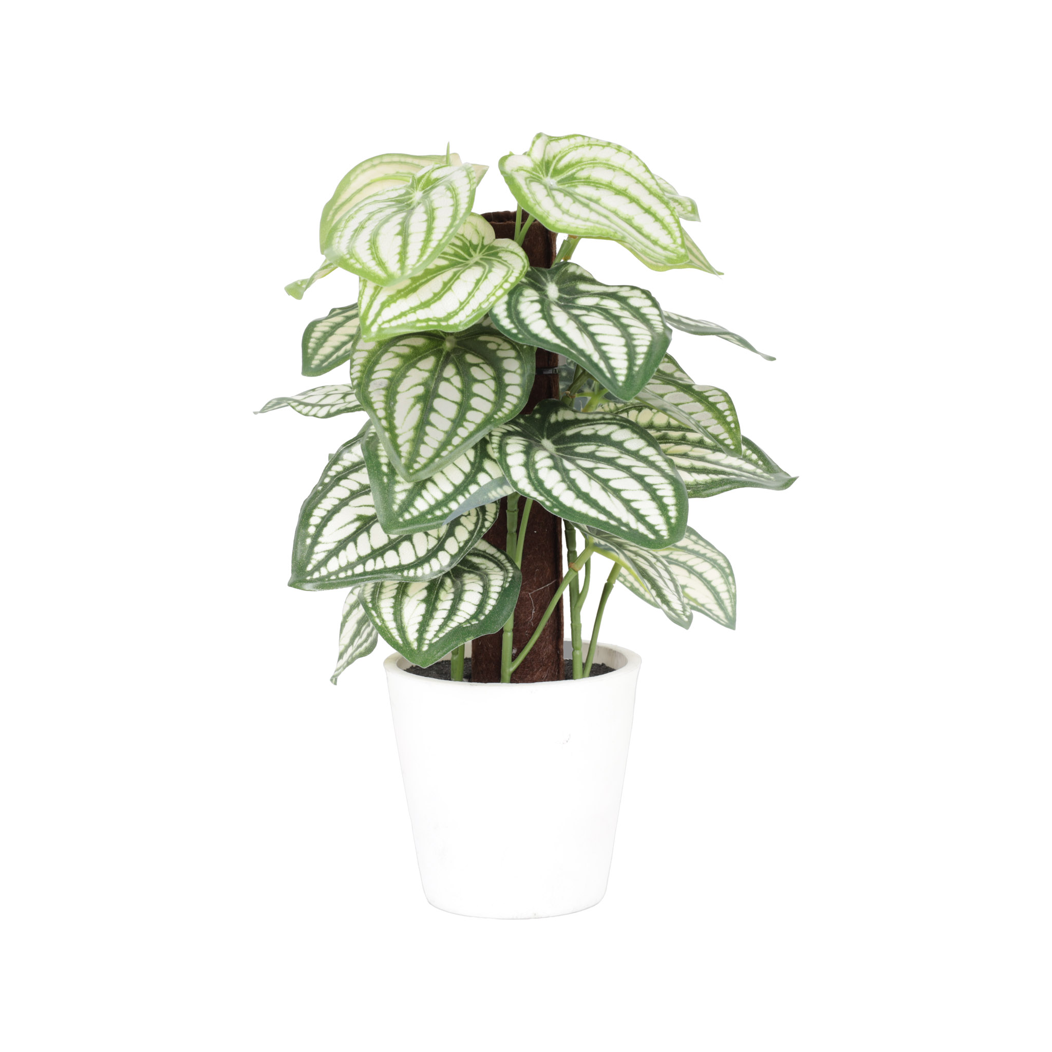 Pote de Cerámica – Con Planta Artificial