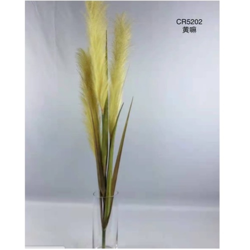 Planta Pampa Amarillo