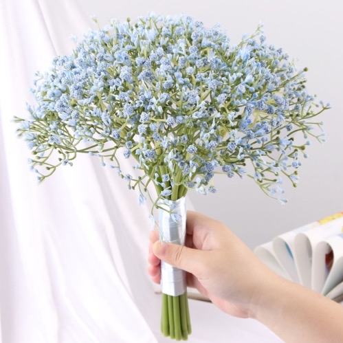Planta Gypsophila Celeste