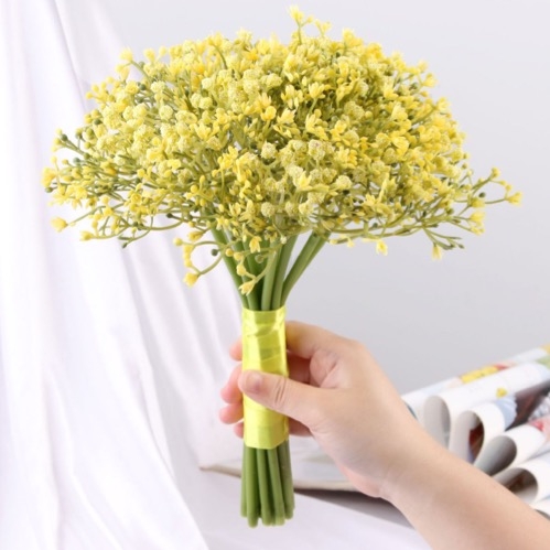 Planta Gypsophila Amarilla